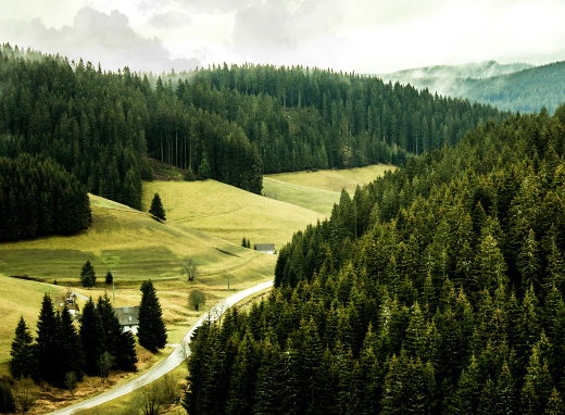 Germany Black Forest
