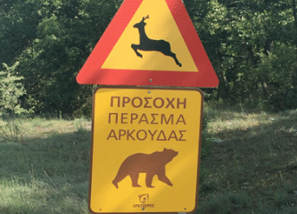 Beware of the wildlife in Greece