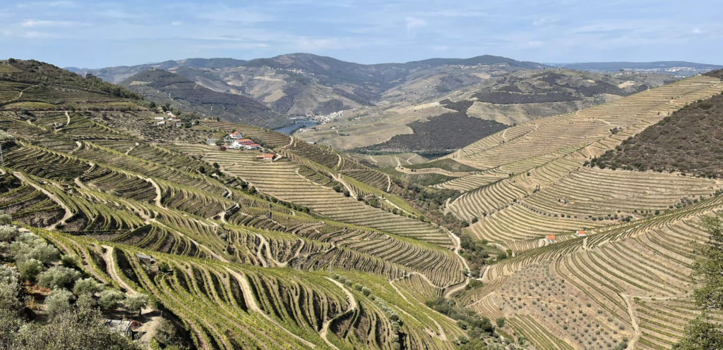 Picos de Europa and Northern Portugal Trip Report September 2022